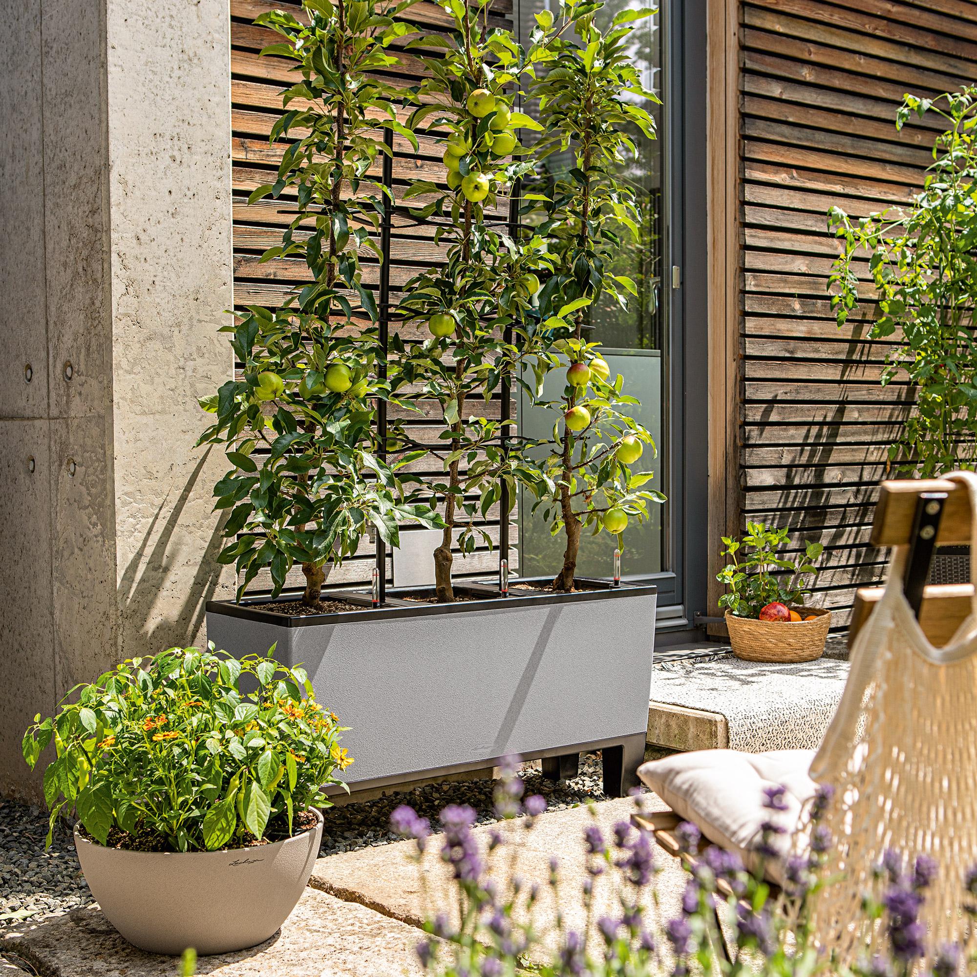 TRIO Stone 30 graphite black, planter | LECHUZA